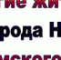 maslennitsa2020 - Няндомский муниципальный район