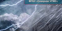 Предупреждение № 199. - Няндомский муниципальный округ