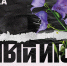 "БЕЛЫЙ ИЮНЬ. МУЗЫКА": ПОМОРСКАЯ ФИЛАРМОНИЯ ПРЕДСТАВИЛА ФЕСТИВАЛЬНУЮ ПРОГРАММУ - Газета Авангард