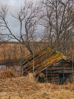В ОБЪЕКТИВЕ ФОТОАППАРАТА