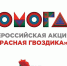 В ПОМОРЬЕ ПОДВЕЛИ ИТОГИ АКЦИИ "КРАСНАЯ ГВОЗДИКА" - Газета Авангард