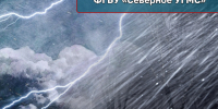 Предупреждение №195. - Няндомский муниципальный округ