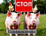 Внимание! Профилактика африканской чумы свиней и высокопатогенного гриппа птиц в Няндомском округе..