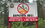 Фото предоставлено министерством природных ресурсов и ЛПК Архангельской области
